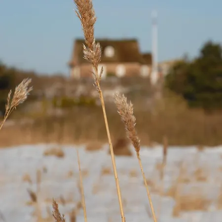 Kleine Wittburg בית נופש
